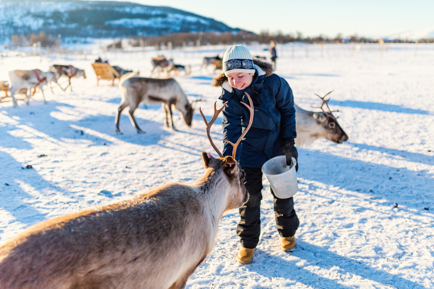 The Most Festive Places In Europe Lapland Dreamstime